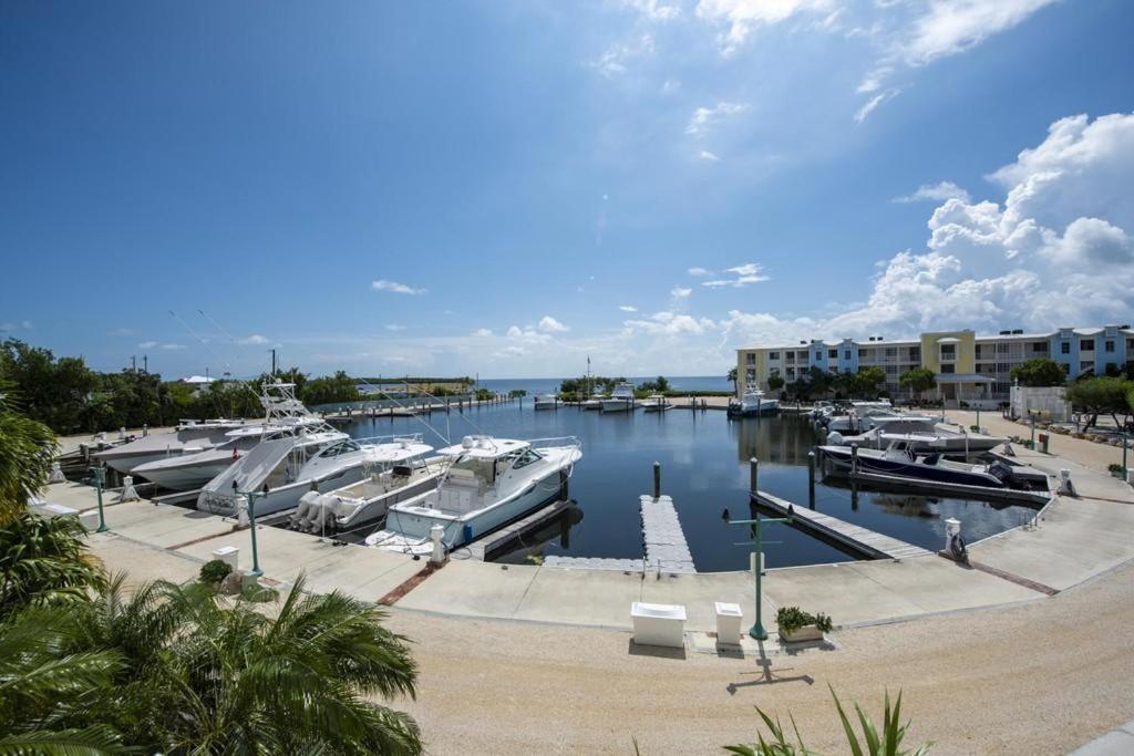 Licensed Mgr - 3/3.5 Modern Villa - Key Largo'S Premier Oceanfront Resort And Marina! Eksteriør bilde
